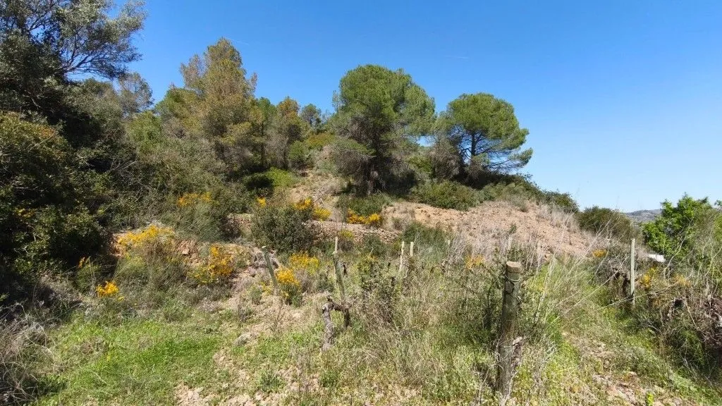 Aed - Boutique Vineyard with Winery in Priorat