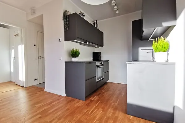 Cuisine - Appartement 2 pièces à Tartu