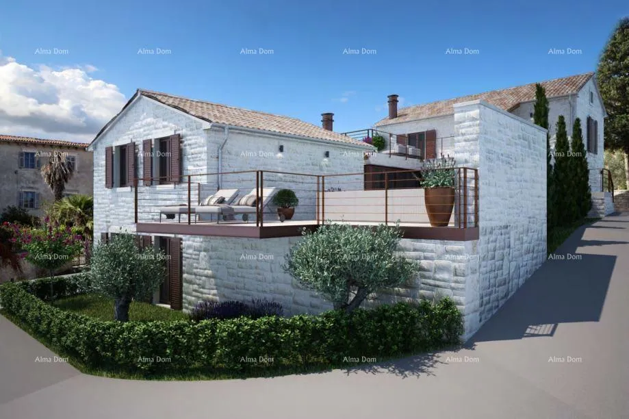Two Stone Houses with Pool in Tinjan
