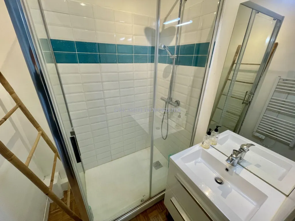 Vannitoad - Bright 3-Bed Flat in Orléans City Centre