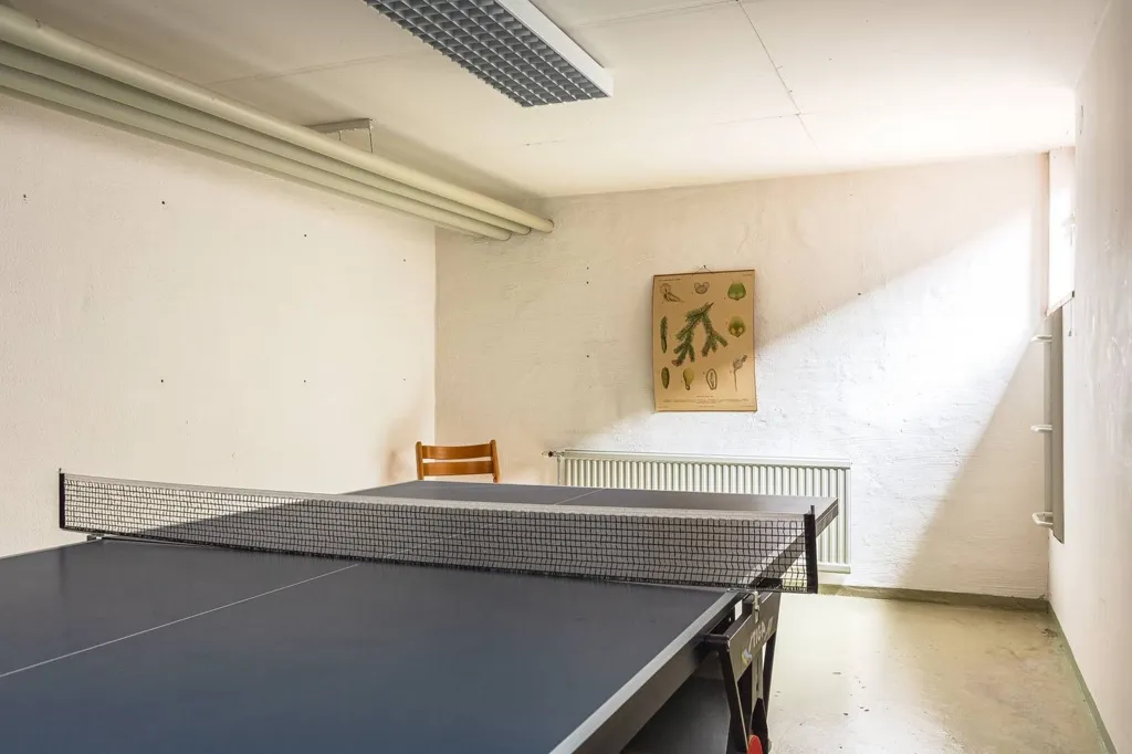 Toad - Central Detached House with Garage in Sandviken