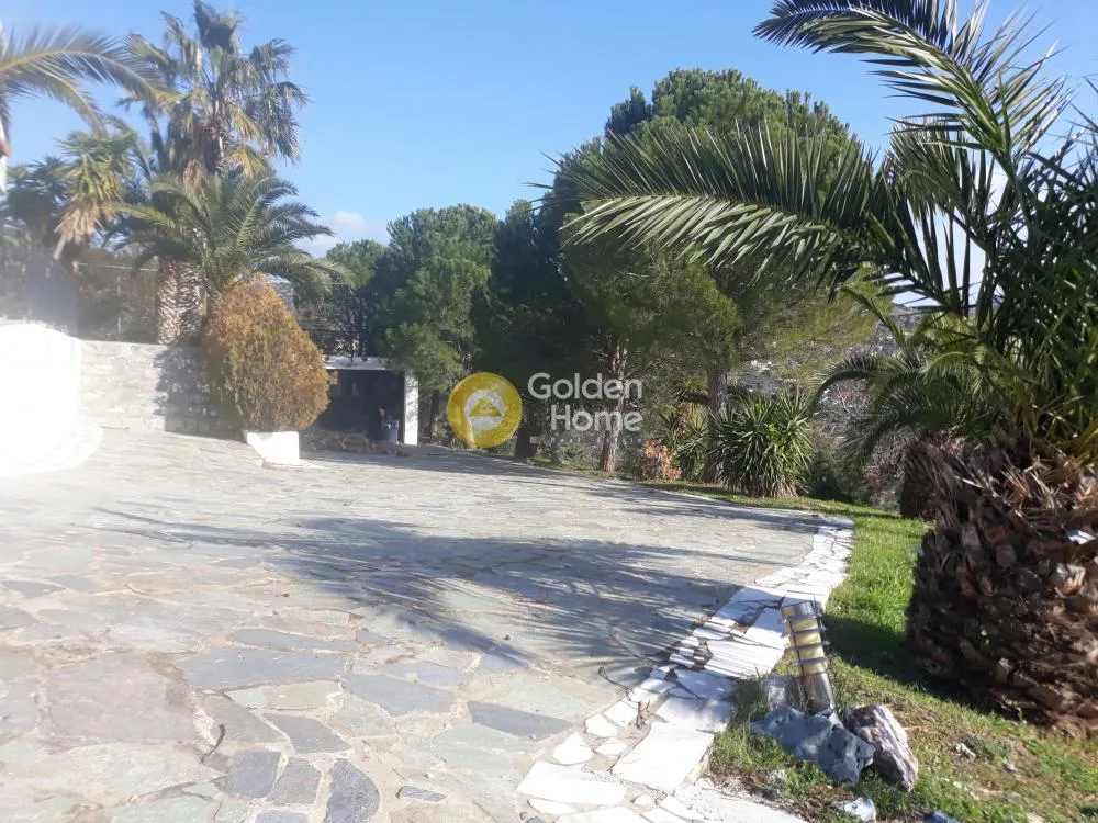 Extérieur - Villa with Sea View in Koropi