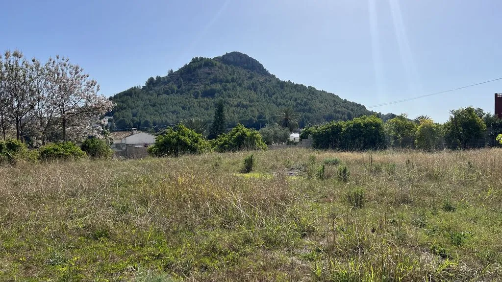 Aed - Luxury House with Warehouse in Pedreguer