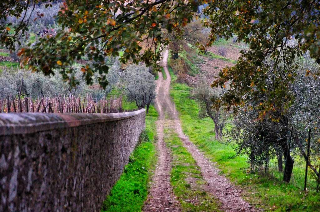 Jardin - Agricultural Land with Solar Exposure in Serravalle