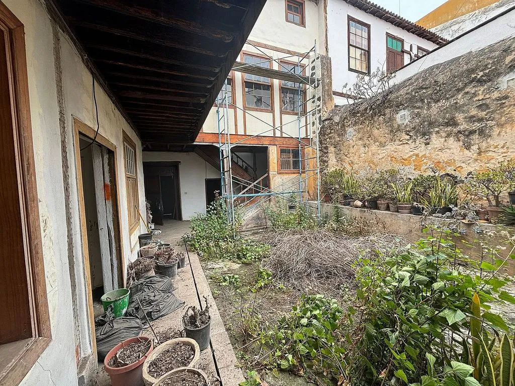 Jardin - Spacious Terraced House in Icod de los Vinos