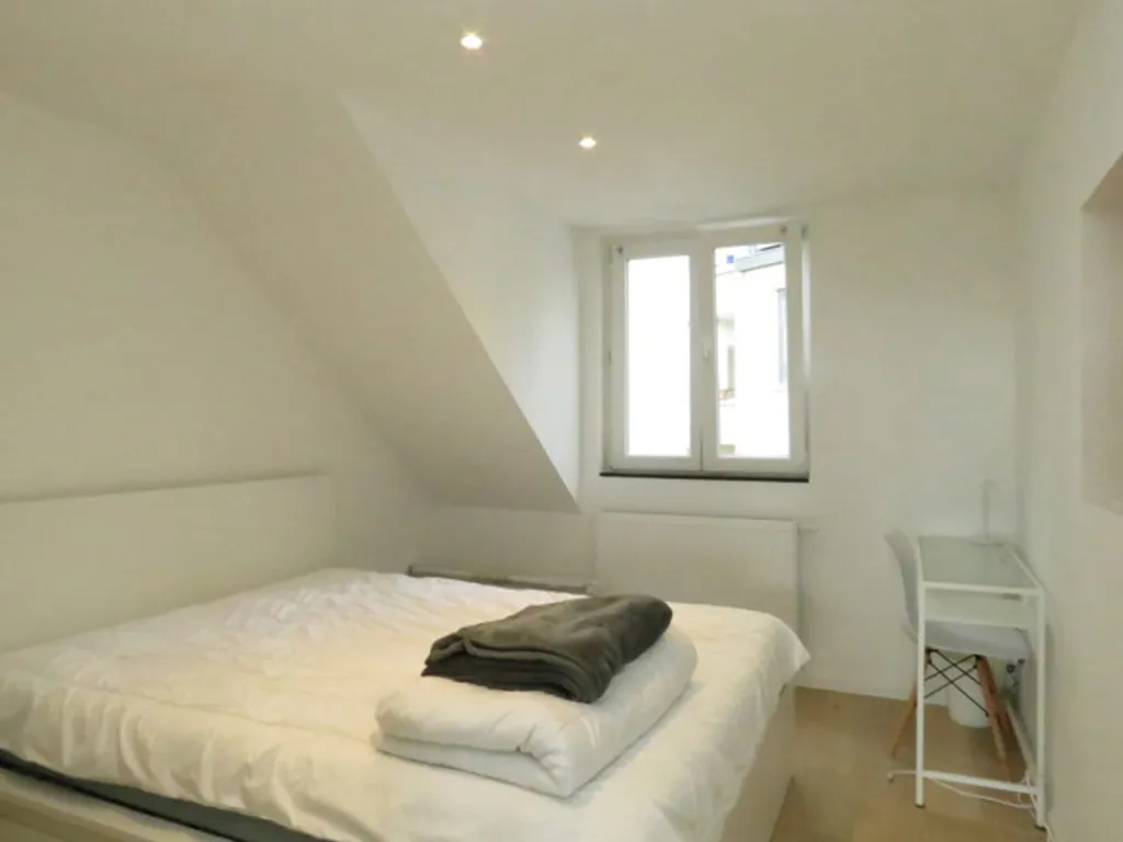 Chambres - Duplex Meublé et Lumineux à Ixelles