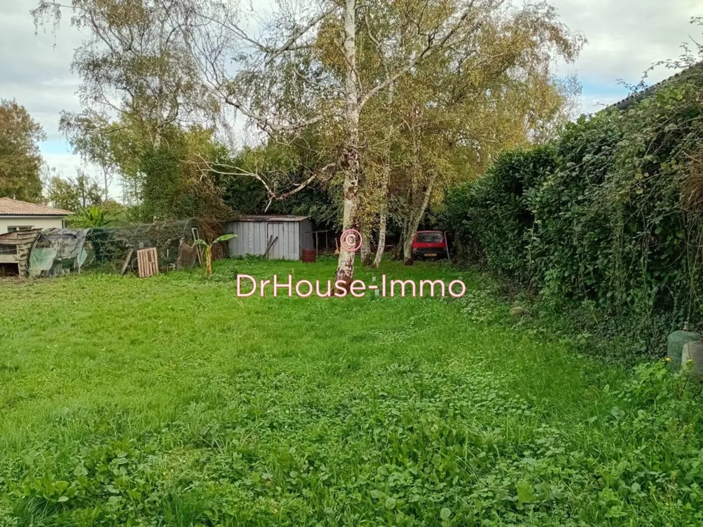 Jardin - Terrain à Bâtir avec Maison à Rénover à Saint-Sulpice-et-Cameyrac