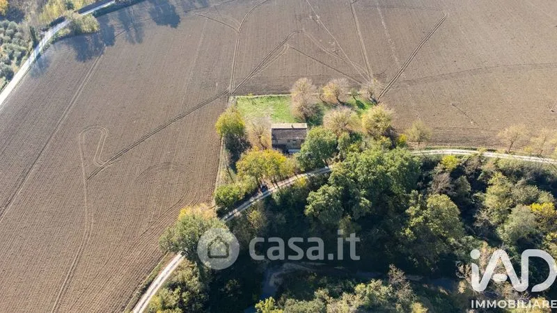 Vista aerea - Traditional Rustico with Olive Trees in Appignano