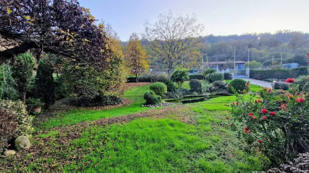 garden