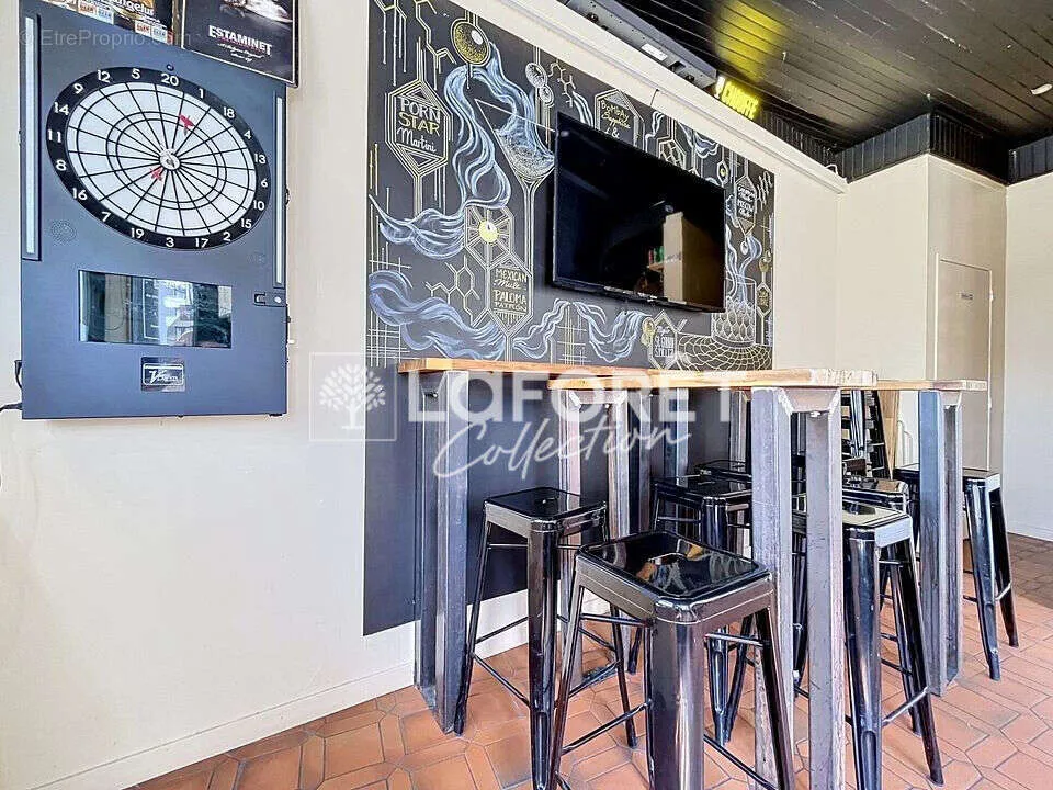 Toad - Bar Business in Boulogne-sur-Mer