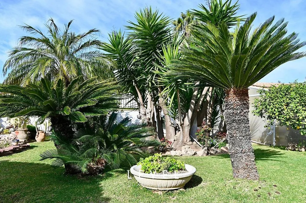 Jardin - Chalet with Pool in San Antonio de Benagéber