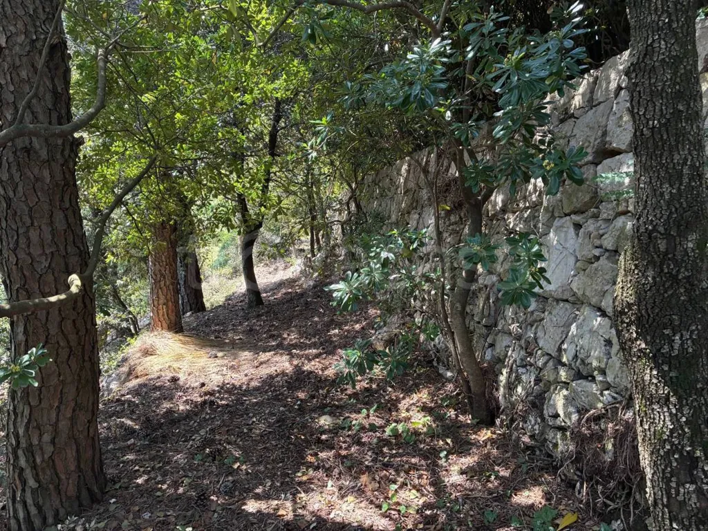 Giardino - Architectural Villa with Garden in Itri