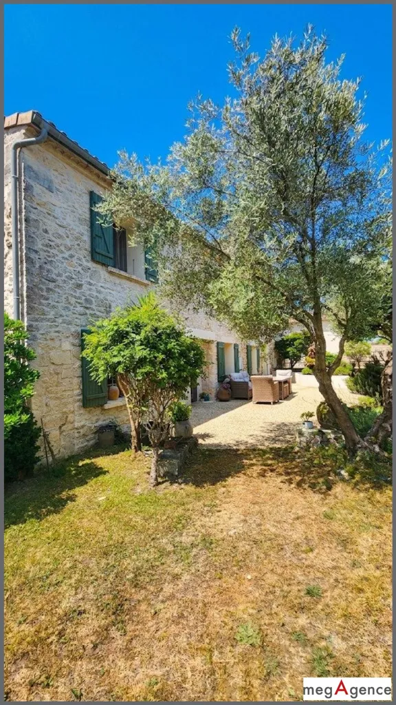 Extérieur - Ensemble de deux maisons charentaises avec piscine à Soulignonne