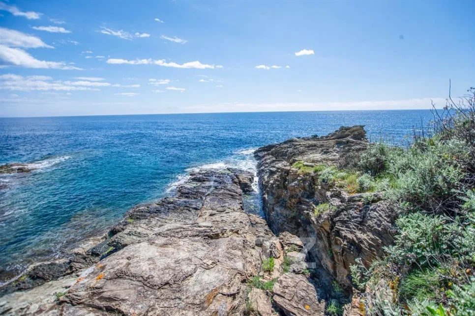 Jardin - Villa Pieds dans l'eau avec Crique Privée à Erbalunga
