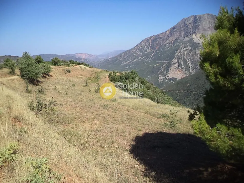 Aed - Agricultural Plot with Mountain View in Aegio