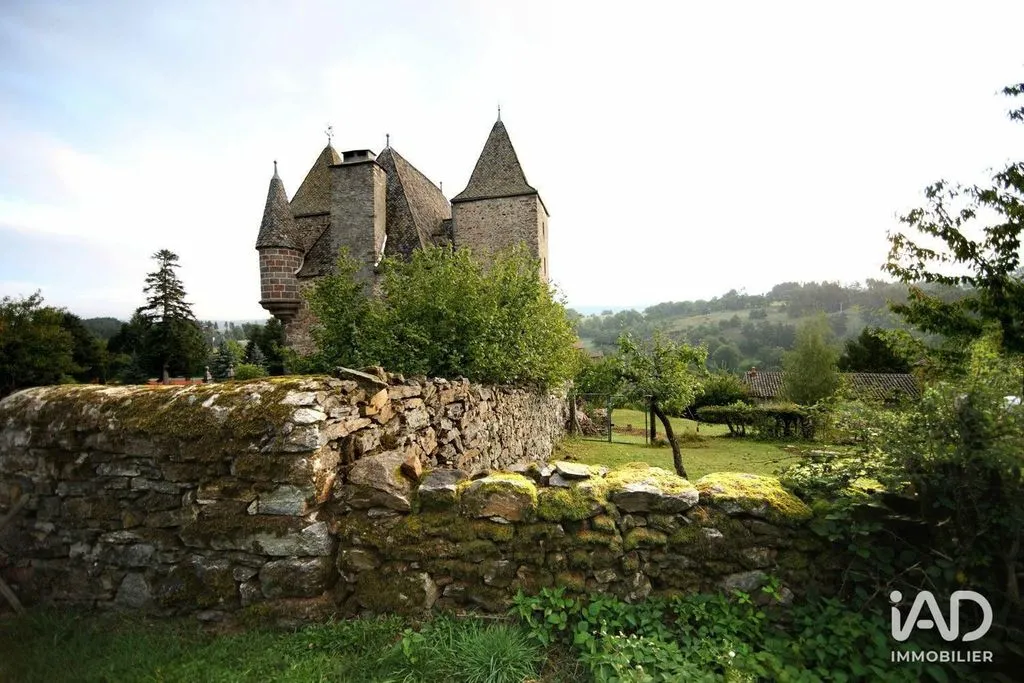 Välivaade - Historic Château with Swimming Pool near Saint-Flour