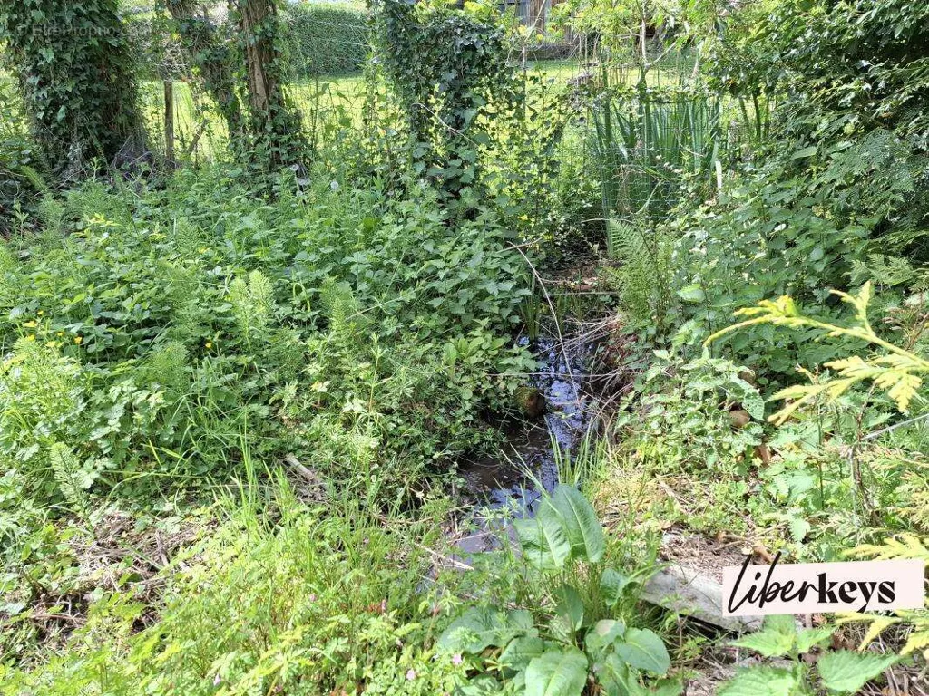 Jardin - Maison Lumineuse à Sainte-Mesme, Proche Dourdan
