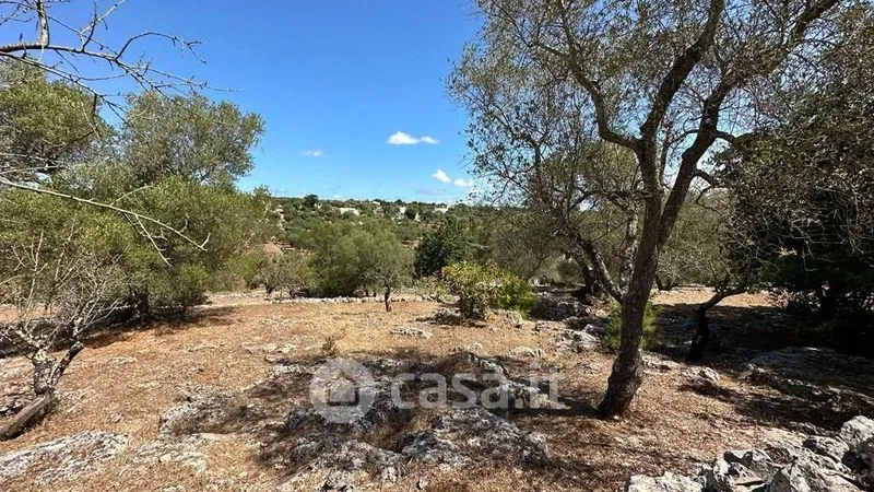 Jardin - Rustic Casale with Pool in Ostuni