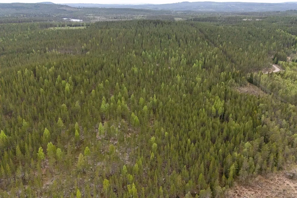 Vue aérienne - Forest Property with Timber in Ljusdal