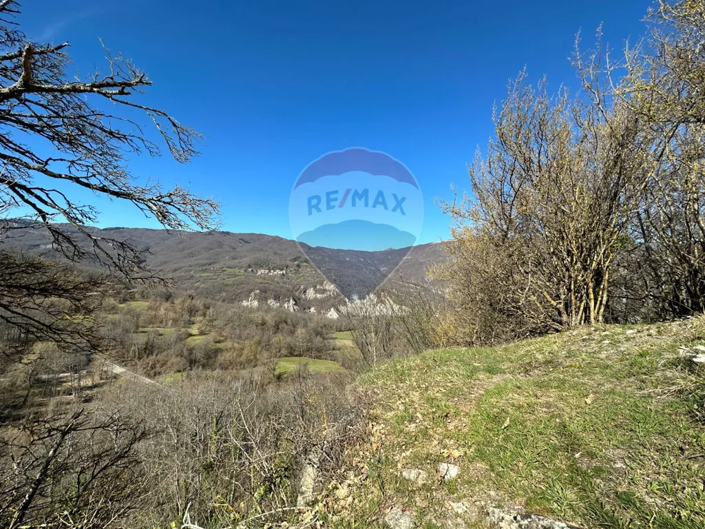 Jardin - Independent House with Garden in Corniglio