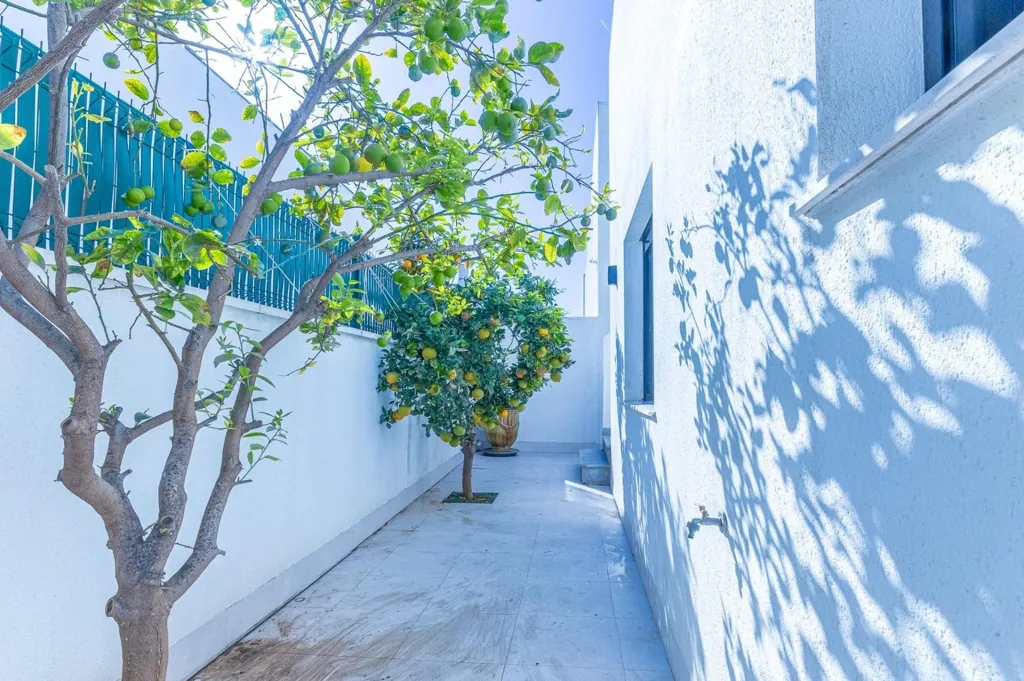 Garden - Villa with Private Pool near Mar Menor