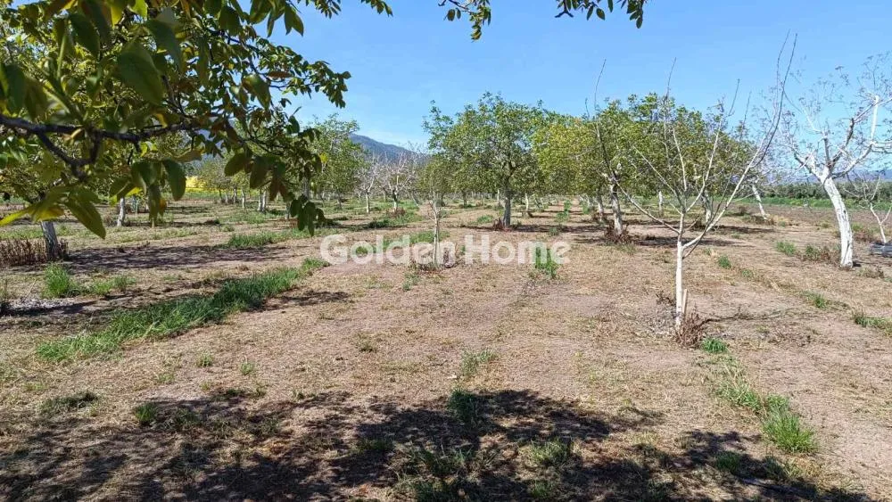 Land in GR