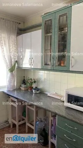Kitchen - Furnished Flat near Campus in San Bernardo