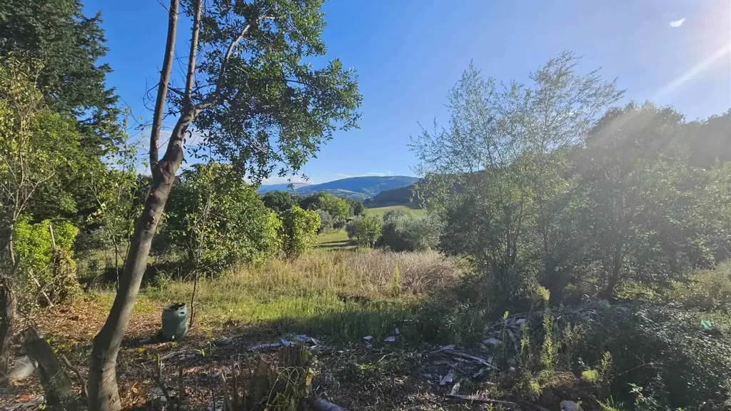Aed - New Villa with Olive Grove near San Severino Marche
