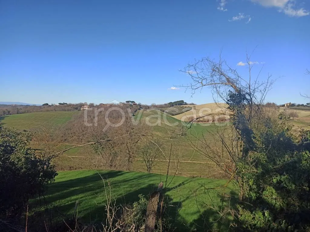Giardino - Rustic Casale with Panoramic Views near Castiglione del Lago