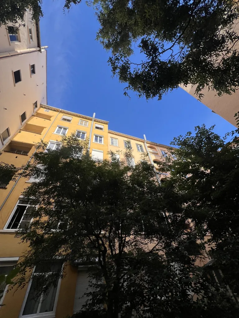 Giardino - Charming Canut Flat with Garden in Croix-Rousse