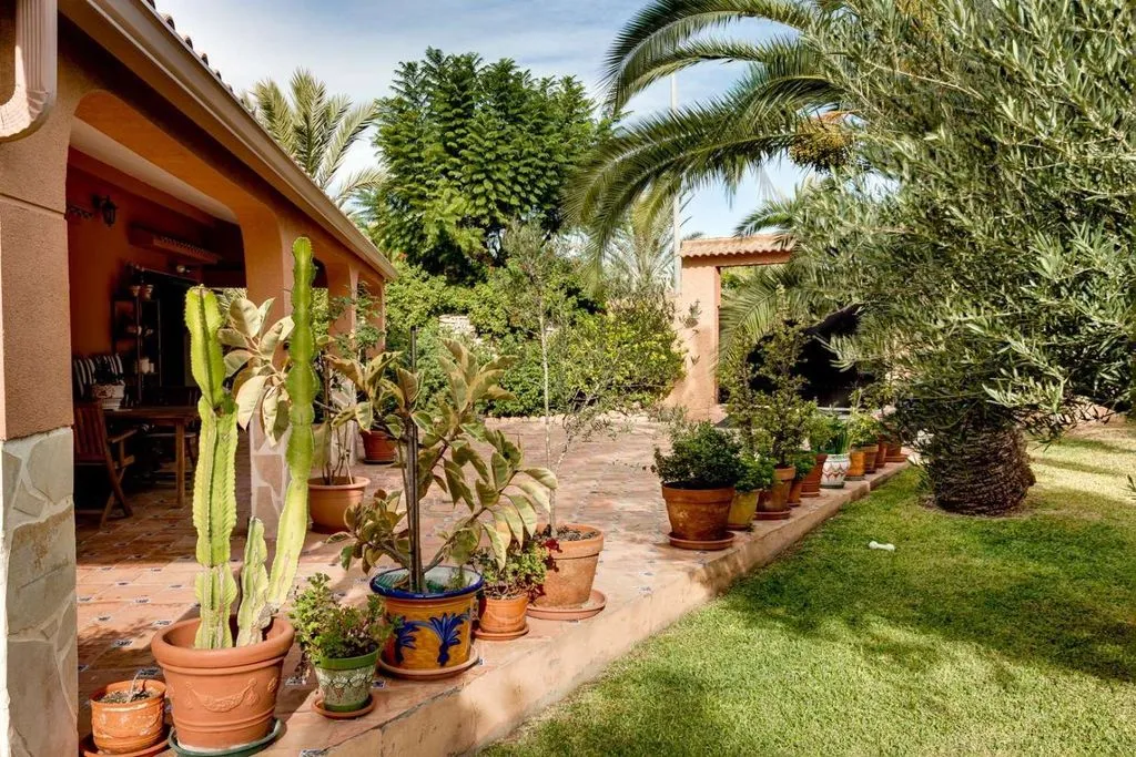 Garden - Luxury Villa with Private Pool in San Luis, Torrevieja