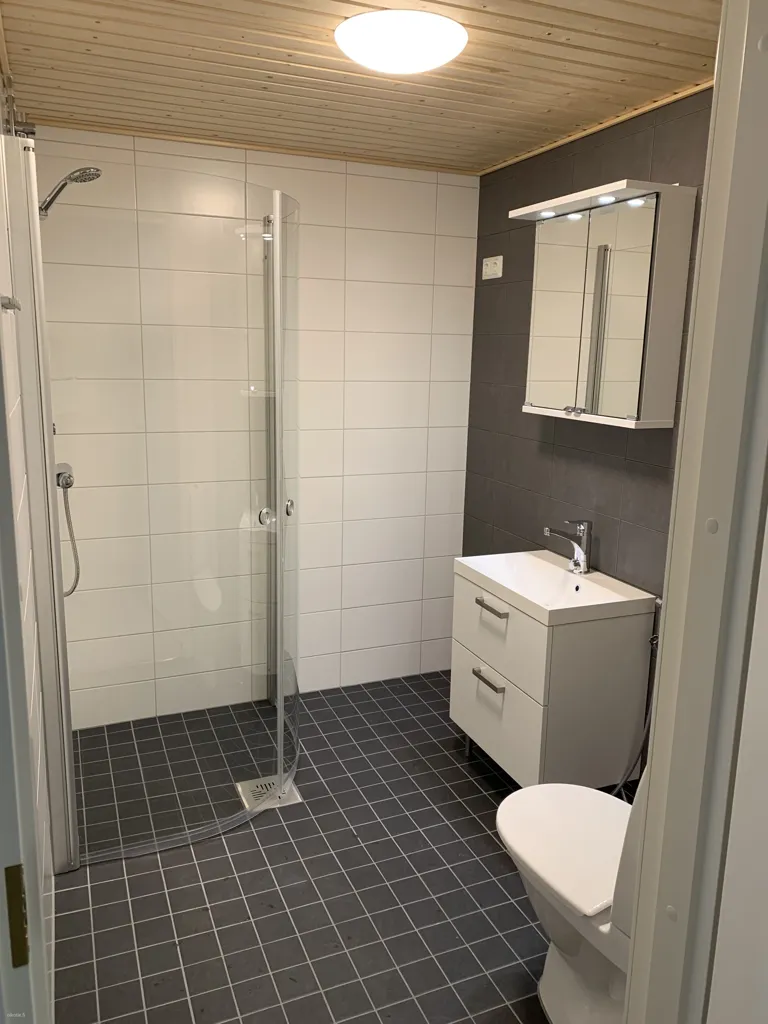 Bagni - Spacious Loft with Large Balcony in Vantaa