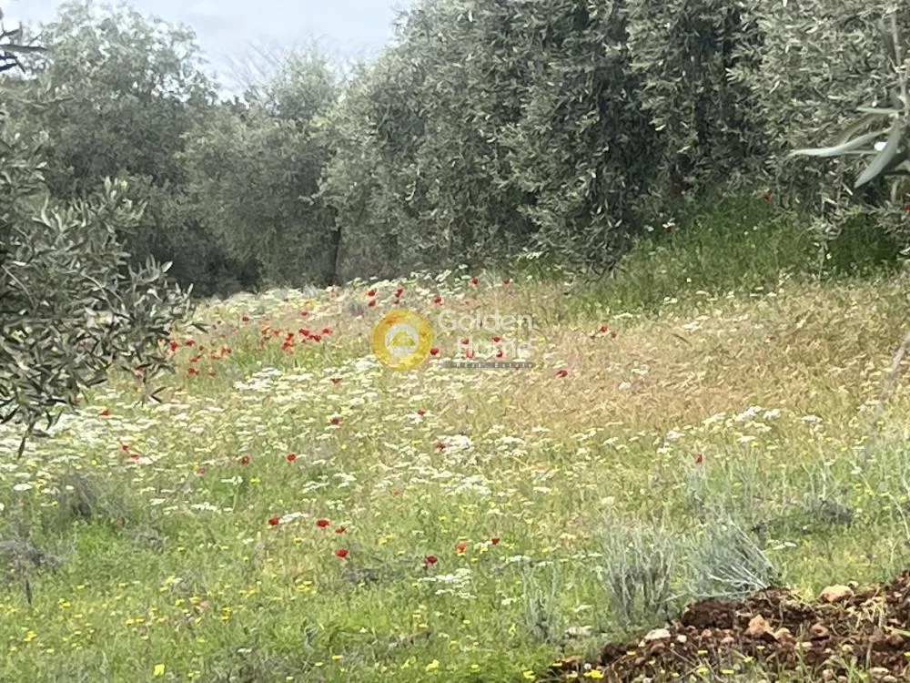 Land in GR
