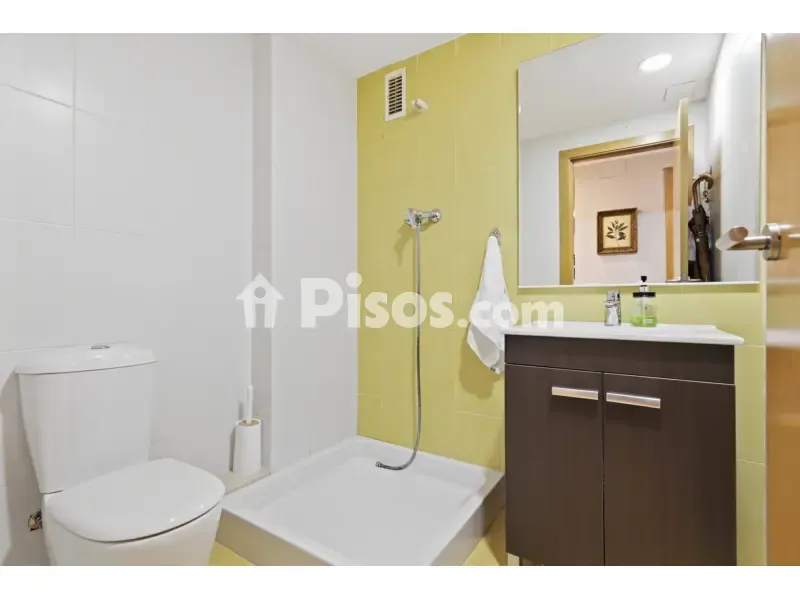 Salles de bain - Duplex Apartment with Terrace in Xirivella