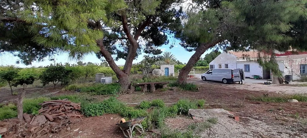 Jardin - Chalet with Garden and Air Conditioning in Elche