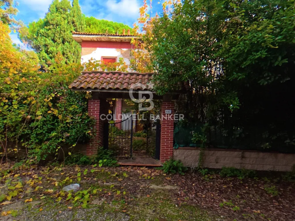Jardin - Rustic Estate with Lake in Vinci, Tuscany