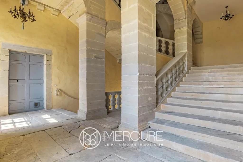 Ingresso - Restored Medieval Château with Pyrenees View