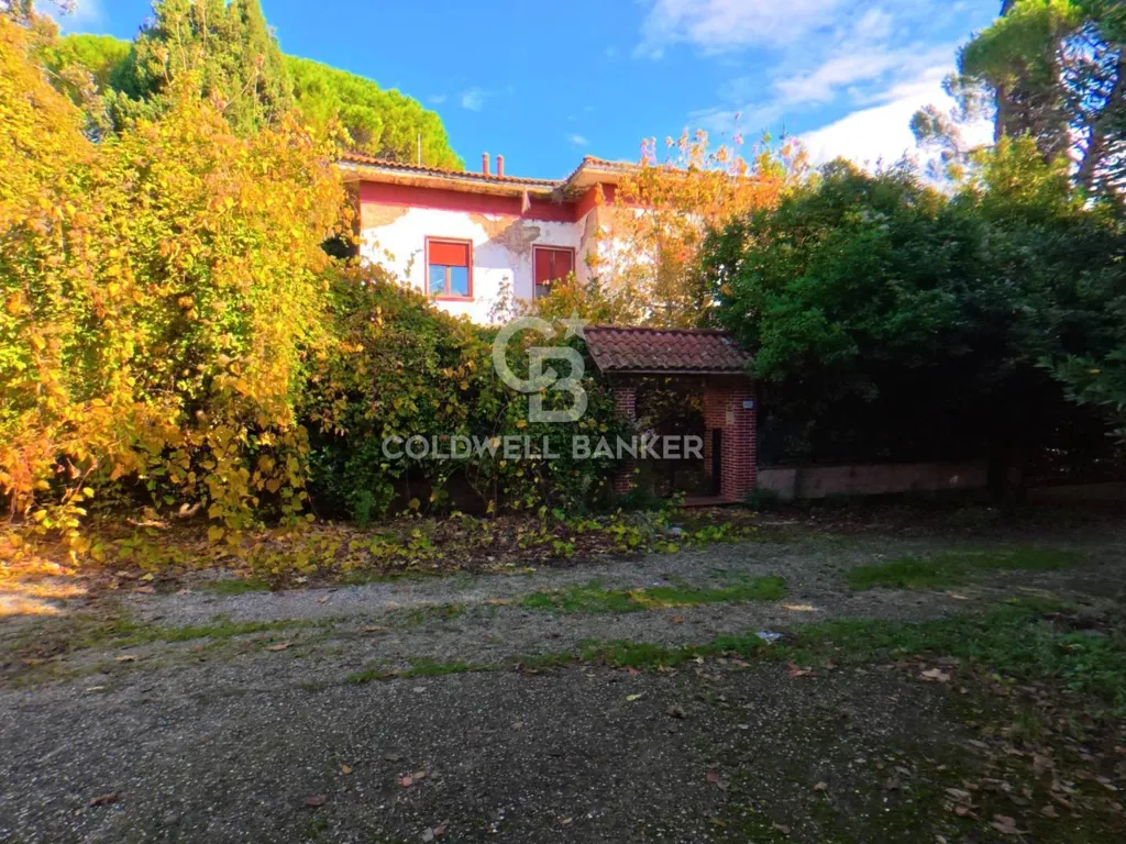 Extérieur - Rustic Estate with Lake in Vinci, Tuscany