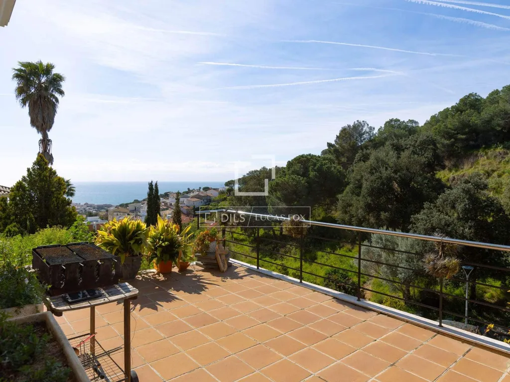 terrace_patio