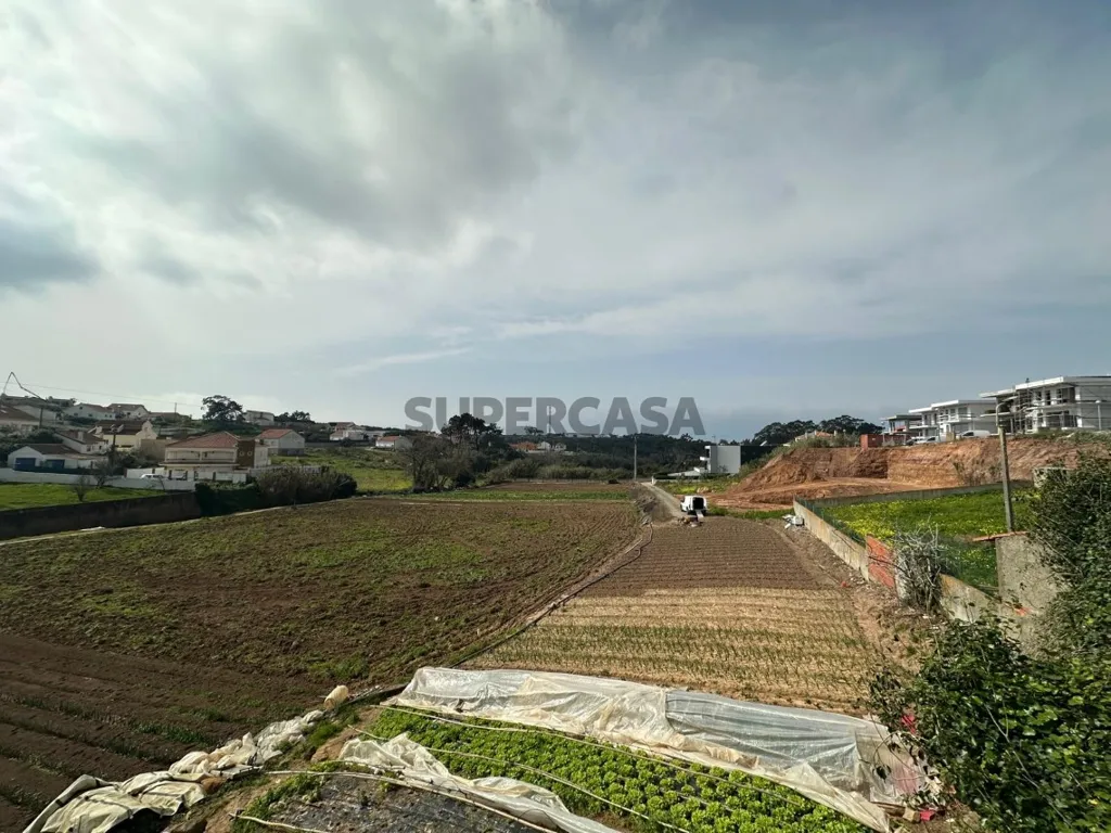 Aed - Luxury Villa with Panoramic Deck in Ericeira