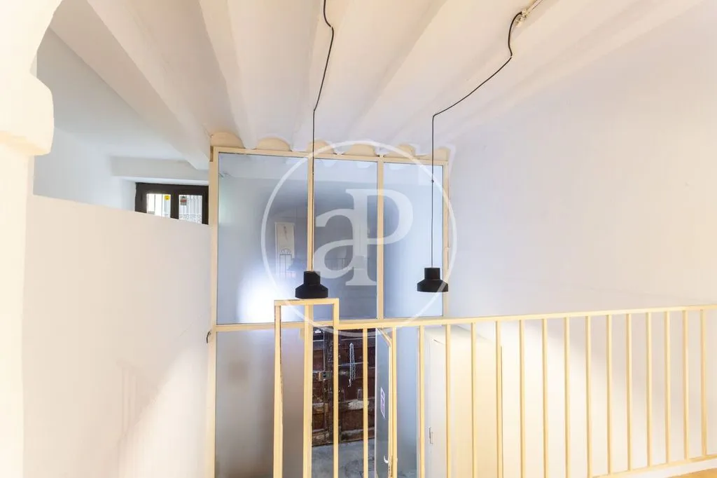 Toad - Duplex Flat with Garden in Barcelona
