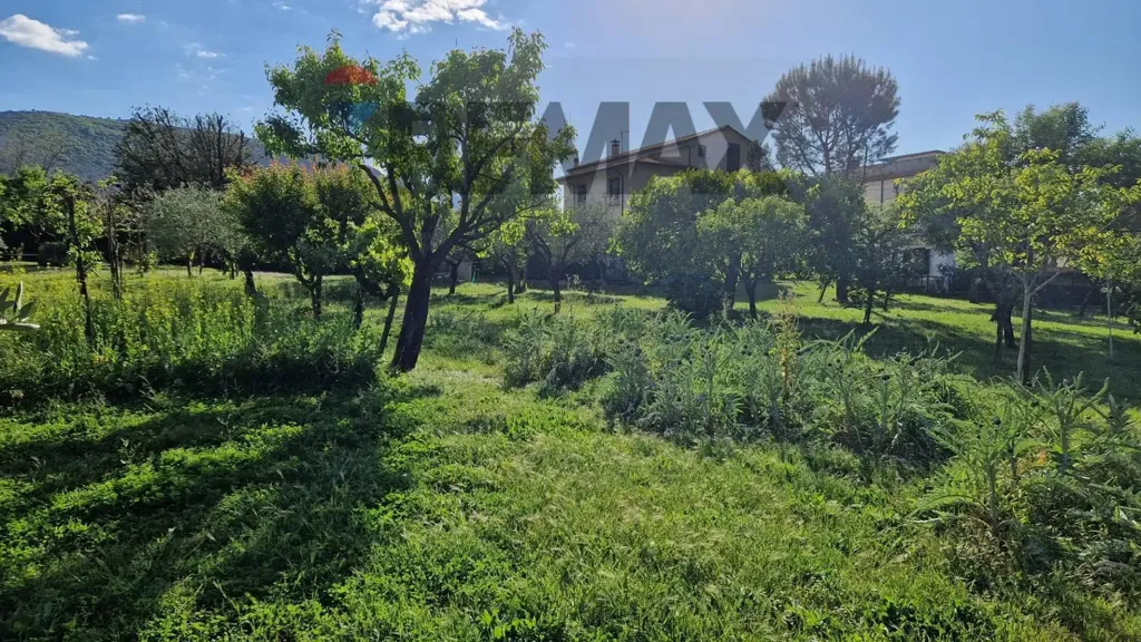 Giardino - Rustic Villa with Garden in Monticelli, Esperia