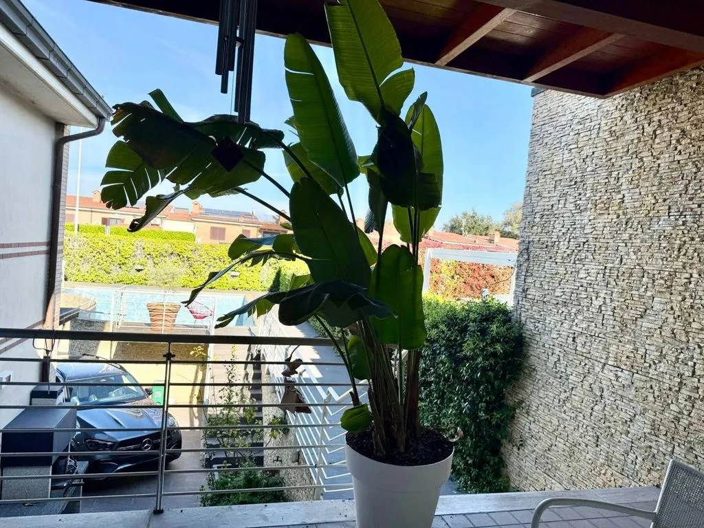 Terrazza - Villa con piscina in residence di lusso a Vallerano
