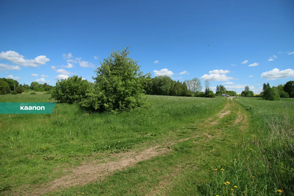 Aed - Commercial Plot with Good Visibility in Kõrveküla