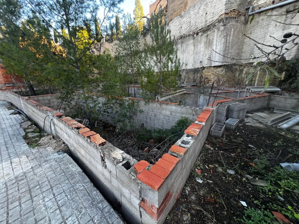 Jardin - Maison à Figueroles