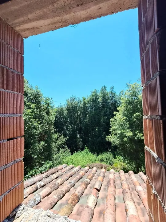 Toad - Villa with Private Park in Amelia