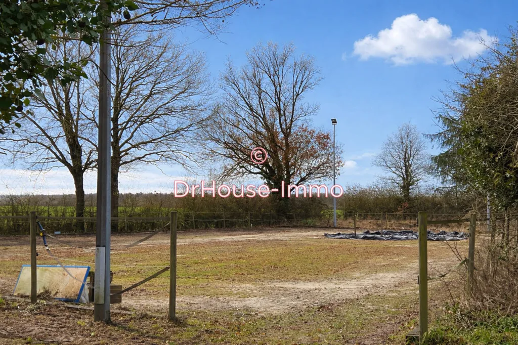Garden - Charming Longère with Equestrian Facilities in Manthelan