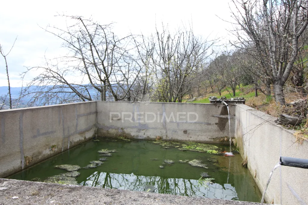 Jardin - Douro Vineyard with Water Source in Resende