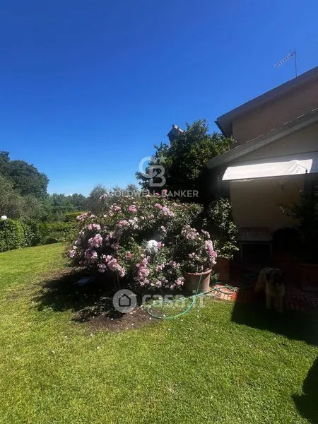 Aed - Villa with Infinity Pool in Viterbo