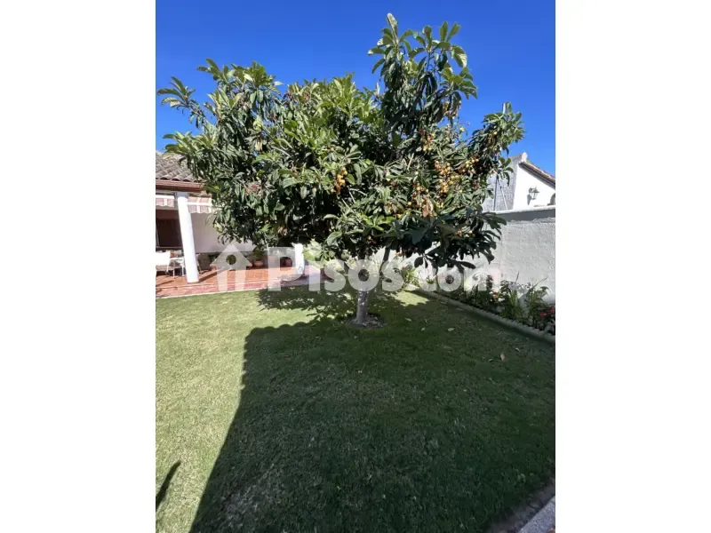 Jardin - Chalet with Pool in El Santiscal